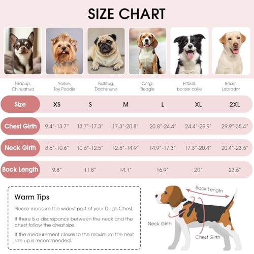 Image of Queenmore Winter Coat, Fleece Puffer Down Vest, Cold Weather Pet Jacket, Waterproof Reflective Reversible Sweater Clothes for Small, Medium and Large Dogs (Light Pink, XL)