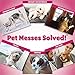 OUT! Petcare Disposable Dog Diapers for Female Dogs, Dog Heat Diapers, Female Dog Period Pads, Female Doggy Diaper for Peeing, Pet Diapers for Small Pets,13”-18” Waist, XS/Small, 16 Count