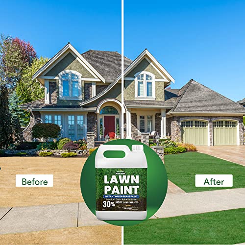 PetraTools Lawn Paint, Green Grass Lawn Spray Grass Paint For Lawn
