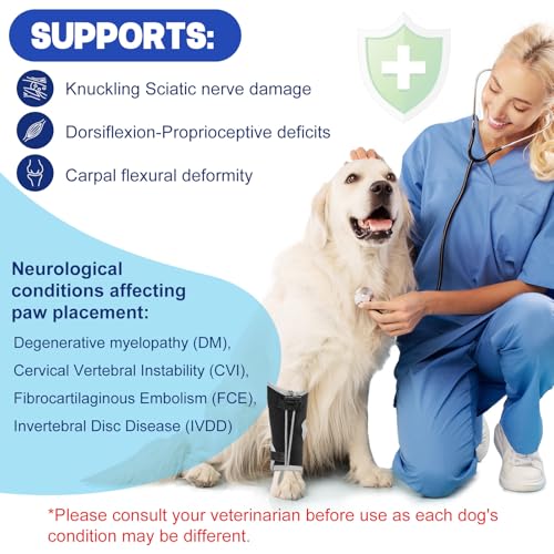 Image of Dog Knuckling Braces Wrap for Hyperflexion of Phalanges Cause by Sciatic Nerve Damage, Carpal Flexural Deformity - Dual Locking Straps for Safe Adjustable Toe Lift Support (Black, Small)