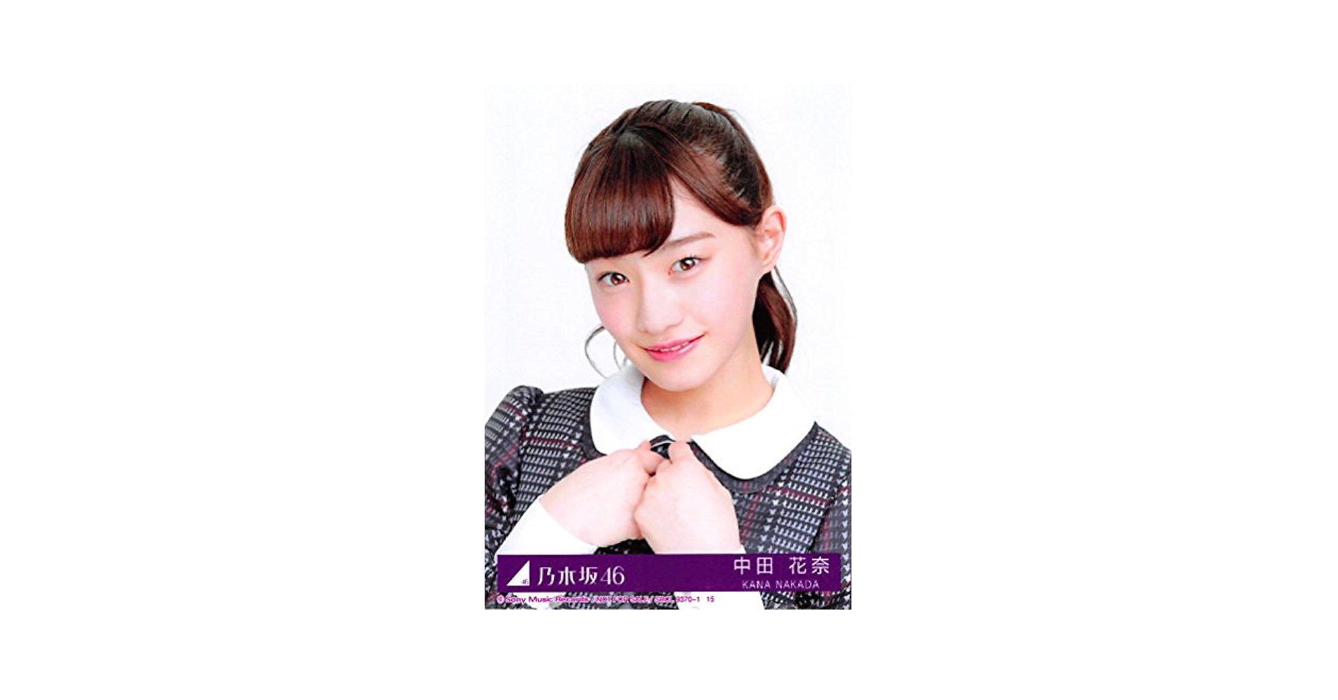 (専用)中田花奈さん　ファイル入り 中田 花奈 | 乃木坂46合同会社所属 タレント一覧