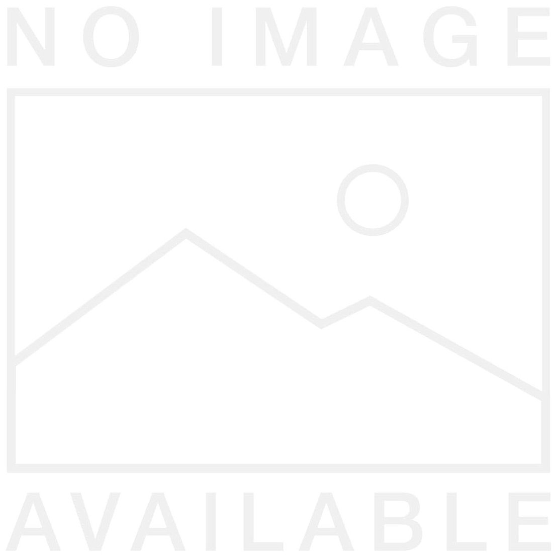 Classical Guitar Masters: Strokes of Genius [Audio CD]