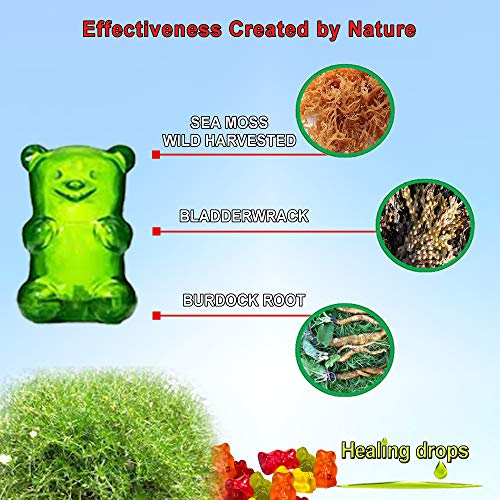 Sea Moss Gummies - Irish Sea Moss - Raw Organic Wildcrafted Sun-Dried Seamoss Powder And Gel - With Bladderwrack Burdock Root – Alkaline Keto Vegan Non-Gmo Diet – Thyroid Skin Detox (Assorti) #TOP2