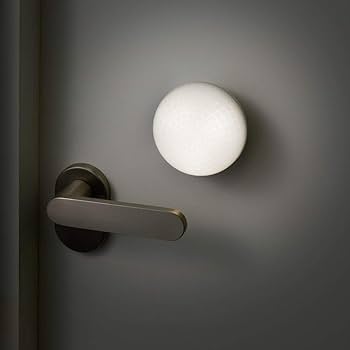 51tEHPF9GRL._AC_UF350,