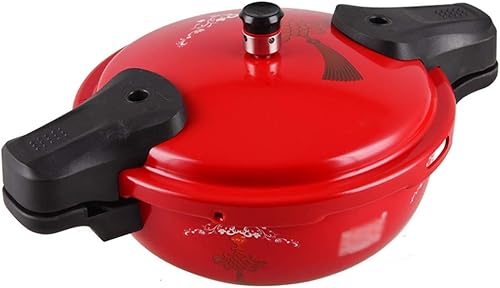 WETYG Pressure Cooker Hotel Restaurant Explosion-proof Mini Micro Pressure Small Soup Pot Picnic Pot Induction Cooker Universal Size 24cm