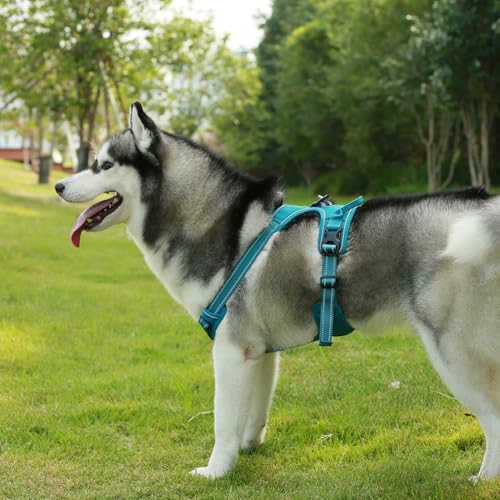 Image of Voyager Dog Harness Dual Leash Attachment No-Pull Control Adjustable Soft but Strong Pet Harness for Medium and Large Dogs with 3M Reflective Technology, Leash Set Turquoise Nylon, M (Chest: 20-25 inch)