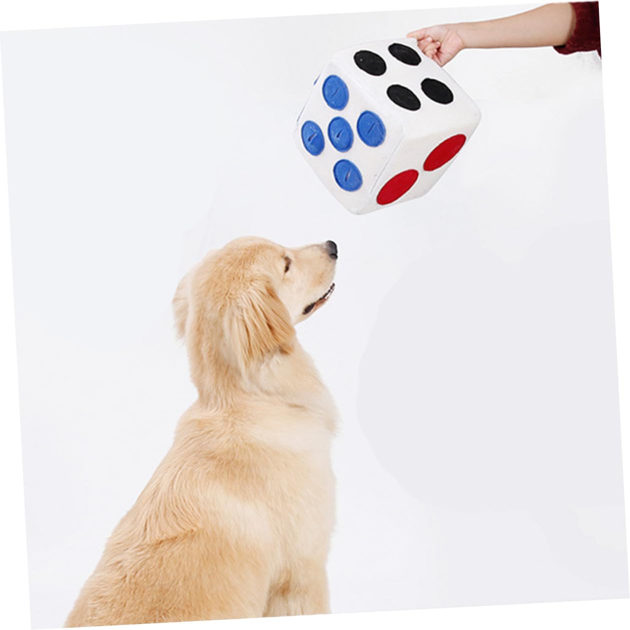 Giocattolo Facile da Pulire a Forma di Dado per Cani in Peluche Bianco e Gioco Interattivo Morbido e Creativo per L'addestramento in Casa