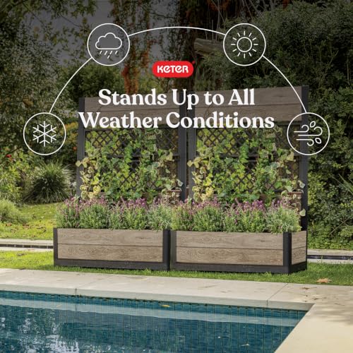 Image of Keter Outdoor Planter Box with Privacy Screen and Trellis - 26 Gallon Raised Garden Bed for Climbing Plants, Wood-Look Resin, Weather-Resistant Divider for Patio, Balcony & Backyard