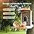 Birdkiss Smart Bird Feeder with Camera Solar, Auto Capture Bird Videos & Motion Detection, Birds Watching Camera Notify in Time, Metal Birds Feeder with Seed Guard, Ideal Present for Mom (Orange)