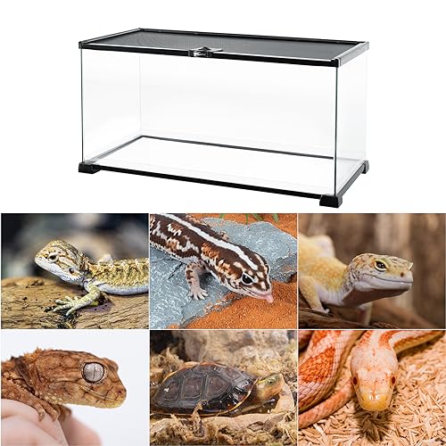 REPTI ZOO Tanque para répteis de vidro completo de 15 galões, terrário médio para répteis 61 x 30 cm