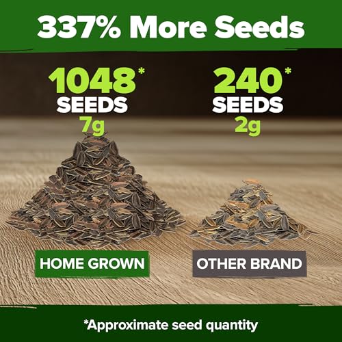 Image of HOME GROWN USA Premium Zinnia Dahlia Seeds Pack for 2026,1048 Non-GMO Flower Seeds, Vibrant Zinnia Elegans for Planting Pollinator Gardens, Borders & Containers, Easy-to-Grow Outdoor Blooms