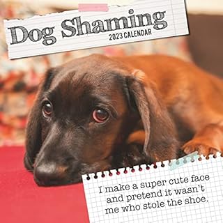 Wall Calendar 2023 - Dog Shaming, 30 x 30 CM Monthly View, 16-Month, Animals - Humour Theme, Includes 180 Reminder Stickers