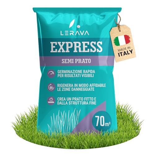 LERAVA® EXPRESS semi prato crescita rapida (70m²) - Semina resistente al calpestio - Sementi per prato soleggiato e mezz’ombra - Semi per un giardino verde fitto - 1,8kg