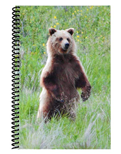 Superior Check and Debit Card Register - Simple Account Tracker - Bear 5.5" x 8.5"