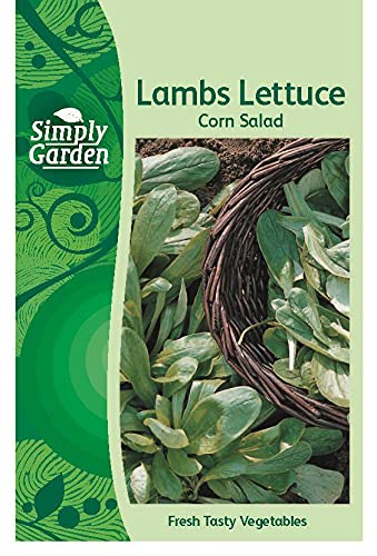 Lambs Lettuce Corn Salad Fresh Vegetable Leafy Seeds Grow Your Own Garden