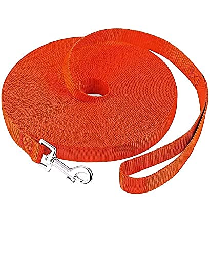 Pups&Pets Puppy Obedience Recall Training Agility Lead- 20 feet Long Leash-for Dog Training, Recall,Play, Safety, Camping Best for Labrador, Golden Retriever, German Shepherd (20.Feet, Red). (B09S6RCXDP) Amazon Price History, Amazon Price Tracker