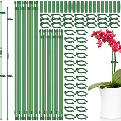 VAVPUP 40 insertos para plantas ajustables con 40 anillos y 20 enchufes, sistemas de plástico, anillos de apoyo verdes para plantas de interior, flores de tomate