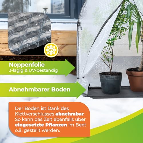 Bio Green Überwinterungszelt für Pflanzen ICEDOME | 3-lagige, UV-beständige Luftpolsterfolie | Robustes Rahmengestell | B 120 x T 120 x H 183 cm