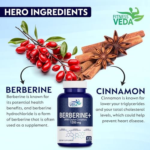 Image of FITNESS VEDA Berberine HCL 1200mg - 120 Capsules High Potency Herbal Supplement for Blood Sugar & Insulin Support | Supports Metabolic & Cardiovascular Health | Non-GMO, Vegan-Friendly - 120 Capsules