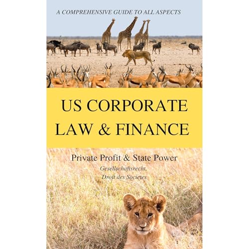 The Lion's Share? A COMPREHENSIVE GUIDE TO ALL ASPECTS OF US CORPORATE LAW AND FINANCE Audiolibro Por Eric Engle arte de port