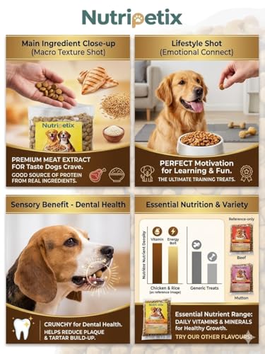 Image of Premium Dry Dog Food for Adult Dogs - Chicken & Rice Recipe (1kg)