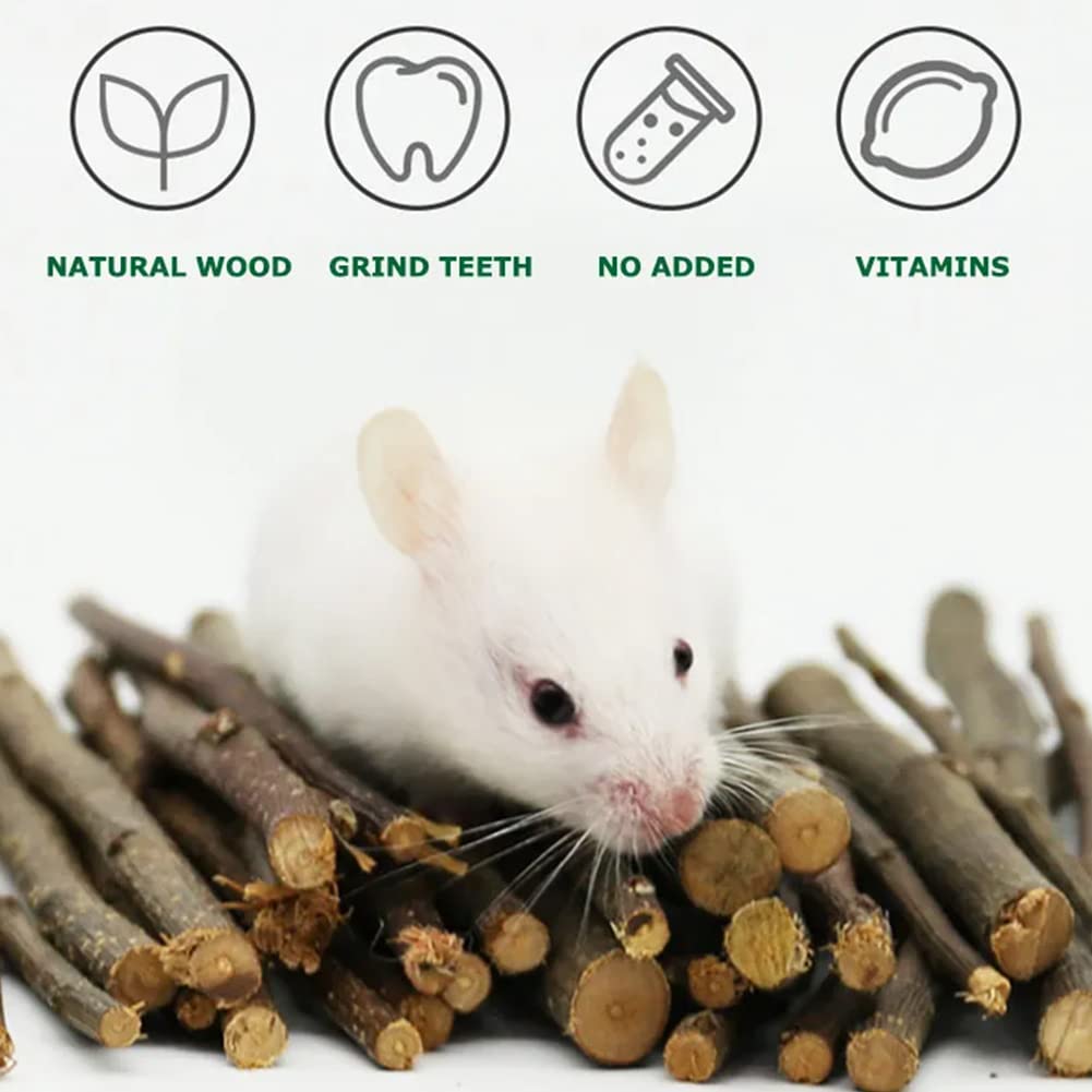 Bâtonnets de Pomme pour Animaux de Compagnie, Bâton à Mâcher De Pomme,Branche De Pomme Molaire,Petit Jouet pour Animaux De Compagnie,pour Chinchilla Cobaye Hamster Lapin