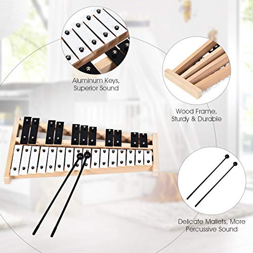 Image of Giantex 27 Note Glockenspiel Xylophone, Percussion Instrument with Wood Base and 27 Metal Keys, Alto Full Size Glockenspiel Xylophone for Adults and Kids- Includes 2 Mallets and Carrying Bag