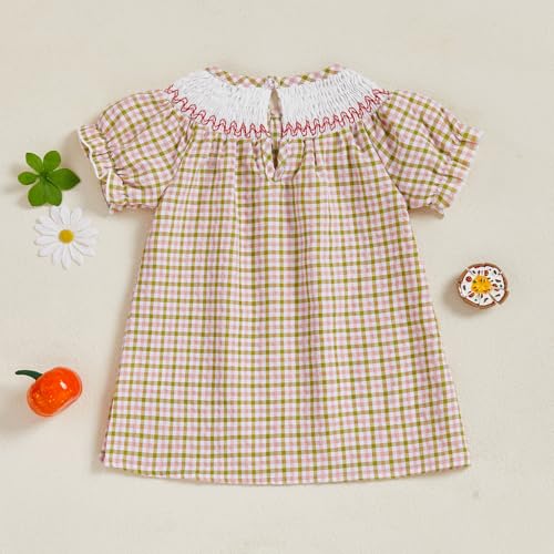 Toddler Baby Girl Thanksgiving Outfits Short Sleeve Turkey Embroidery Striped Smocked Dress Fall Photoshoot Clothes4