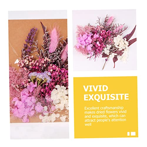 Kit de flores secas para manualidades DIY STOBAZA miniatura 4