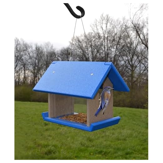 What do ibis eat in lawns Songbird Essentials Mealworm Feeder