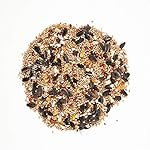 Wagner's 62011 Eastern Regional Blend Wild Bird Food, 8-Pound Bag - Image 3