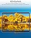 Makinda Magnetischer Blickschutzfilter Kompatibel mit Surface Pro 11/X/9/8 (13 Zoll), Entfernbare Sichtschutz Anti-Blaulicht, Anti-Spy Privacy Screen Protector Displayschutz Sichtschutzfolie