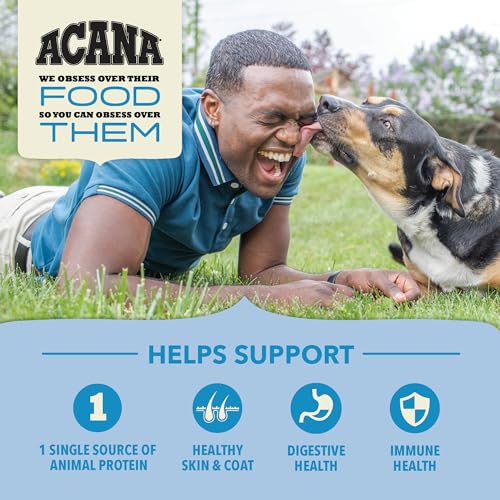 View 4