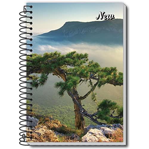 Kit de Cadernos Espirais 1/4, Pauta Branca, Capa Dura, New, 96 Folhas, Pacote com 5, Sortida, 278989