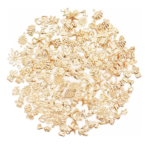 Guador 100g Breloques pour Bijoux Breloques Pendentif Antique Pendentifs Artisanaux Bricolage Bijoux de Bricolage pour la Fabrication Bricolage Bracelet Boucle D'oreille Collier Décoration Artisanale Cover