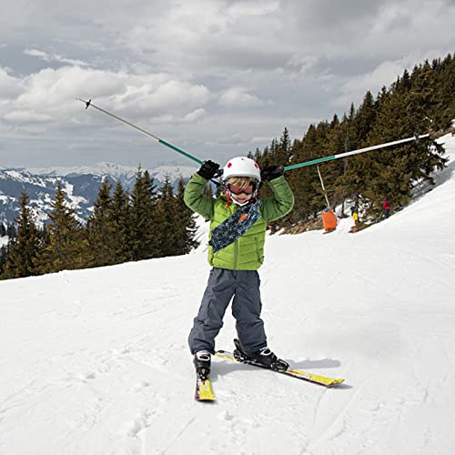 Ternual Adjustable Bearded Dragon Accessories Bearded Dragon Lizard Guinea Pig Leopard Gecko Carrier Coral Velvet Sling… - Image 7