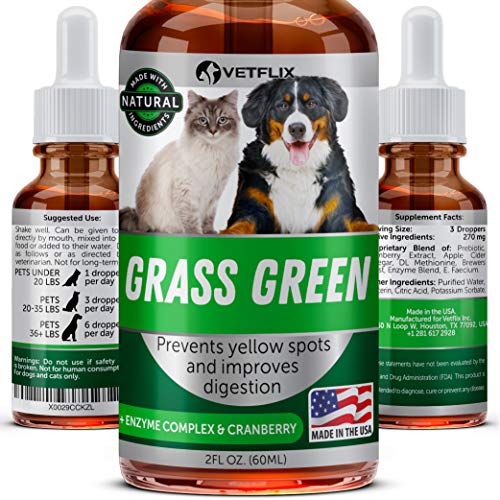 Grass Green for Dogs - USA Made - Dog Pee Lawn Repair - MAX BioAvailability - Removes Yellow Grass Spots Caused by Dog Urine - DL-Methionine & Probiotics for Digestive Health - Dog Rocks Alternative