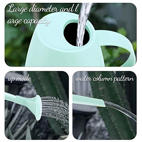 Watering Can for Indoor Outdoor Plants, Modern Small Watering Cans with Removable Nozzle, Long Spout Watering Can for Indoor Bonsai Plants Garden Flowers 1/2 Gallon 1.8L 60OZ - Thumbnail 4