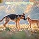 UFURMATE Hundehalsband-Clips, verstellbar, doppelseitig, Halsbandverschluss, Leinenverbinder, Schnellverschluss, 360 Grad drehbare Clips für Spaziergänge mit dem Hund, Camping, Wandern, Schwarz, 2