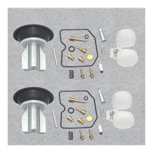 Kit de réparation de carburateur idéal pour restaurer votre EN500 avant les balades