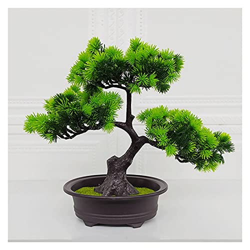 lH~ 11C` lH~ }̖̏ V~[VAA Diy~ fXNfBXvC tFCNc[|bgI[ig  ItBXp tFCN~