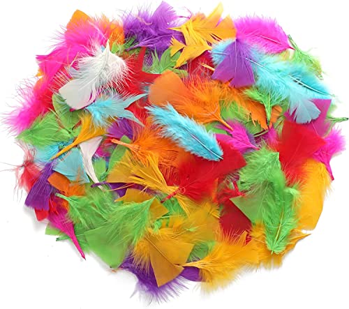 TRIXES 250 Plumas de Colores para Manualidades – Proveedores Vibrantes de DIY para Artes y Manualidades Infantiles – Decoraciones, Sombreros, Gorros, Globos y Más – Accesorio Esencial para Kit