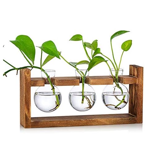 COMPO Anwachs-Turbo, Hochwirksames Bewurzelungshilfsmittel, 0,7 kg 7 Blumenvase Vintage Kleine Vasen Für Tischdeko Modern Glas Reagenzgläser Für Blumen Mit Ständer Holz Propagation Station Für Wohnzimmer Outdoor Taufe Geburtstag Hydroponik Deko