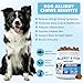 Dog Allergy Chews 200ct, Dog Allergy Skin Relief Chews for Dry Skin, Itchy Skin Relief Supplement for Paw Licking & Anti-Itch for Dogs with Colostrum, Salmon Oil, Probiotics to Boost the Immune System