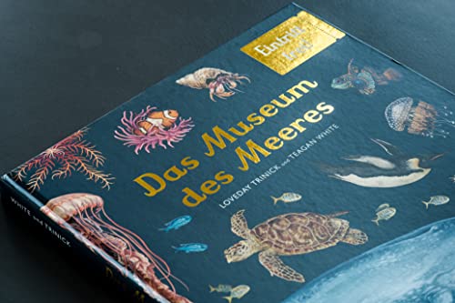 Das Museum des Meeres: Eintritt frei!: 12