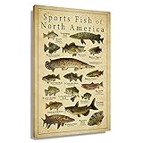 Busmko Sports Fish of North America Knowledge Wall Decor Vintage Art Canvas Painting Modern Picture Artworks Gift for Living Room Decor Artwork Unframed 12x18 inch(30x45cm)