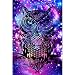 5D Diamond Painting Full Drill, 16"X12" Dream Owl DIY Diamond Painting by Number Kits, Rhinestone Crystal Drawing Gift for Adults Kids, 40x30cm Mosaic Making Art Painting for Wall Decoration