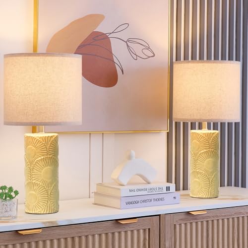 20.75" Ceramic Table Lamps for Living Room Set of 2,