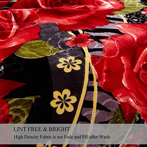 Jml Heavy Fleece Blanket Queen(79"X91", 9 Lbs), 2 Ply Design, Ultra Soft Warm Thick Korean Mink Printed Plush Mink Raschel Bed Blanket For Autumn,Winter,Bed,Home,Gifts #TOP3