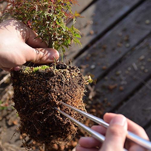 KAKURI Herramienta para Bonsái Raíz 7.8 pulgadas miniatura 2
